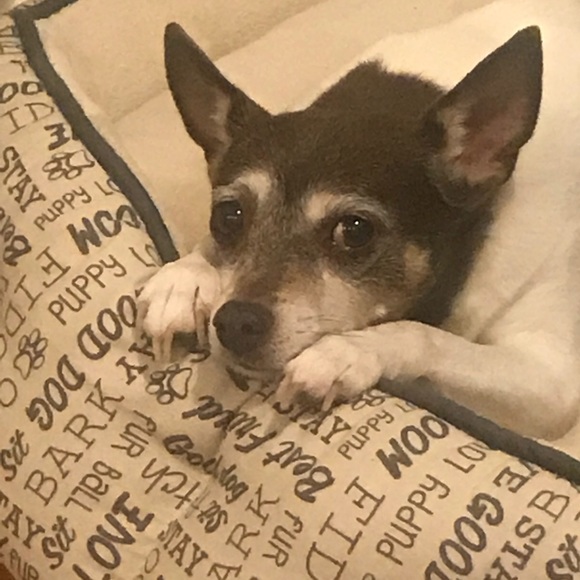 Meet your Posher, Chris - Picture 3 of 16